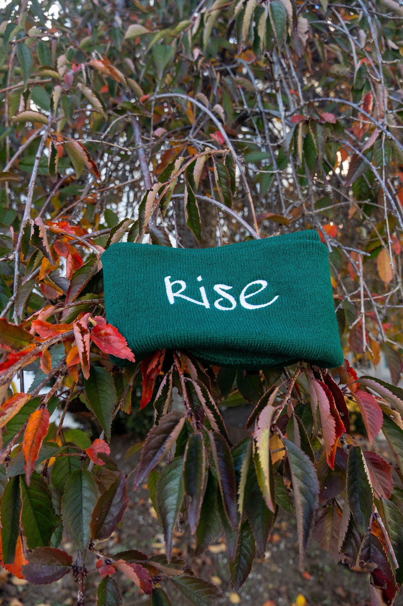 Emerald Rise Beanie