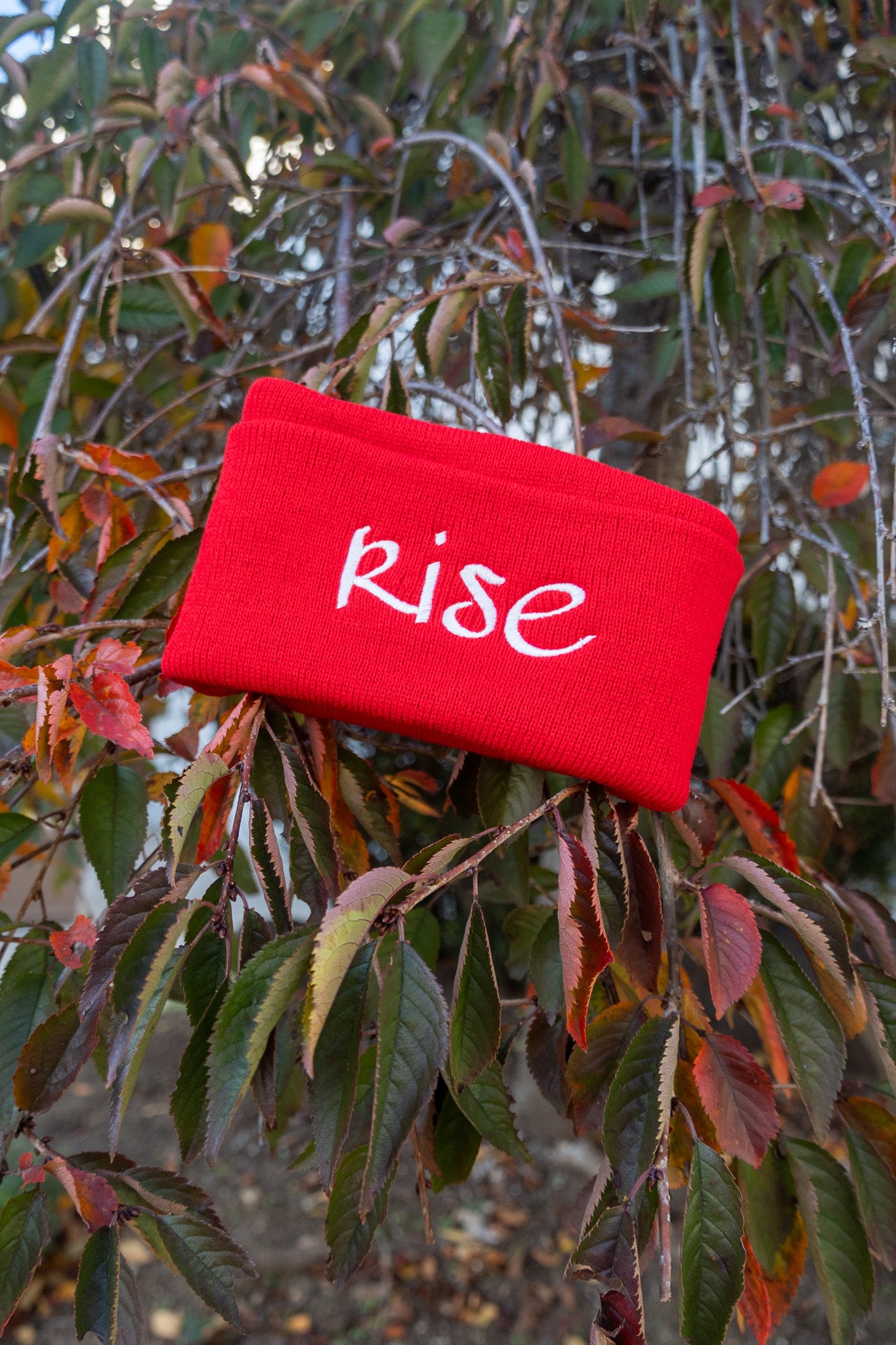 Ruby Rise Beanie