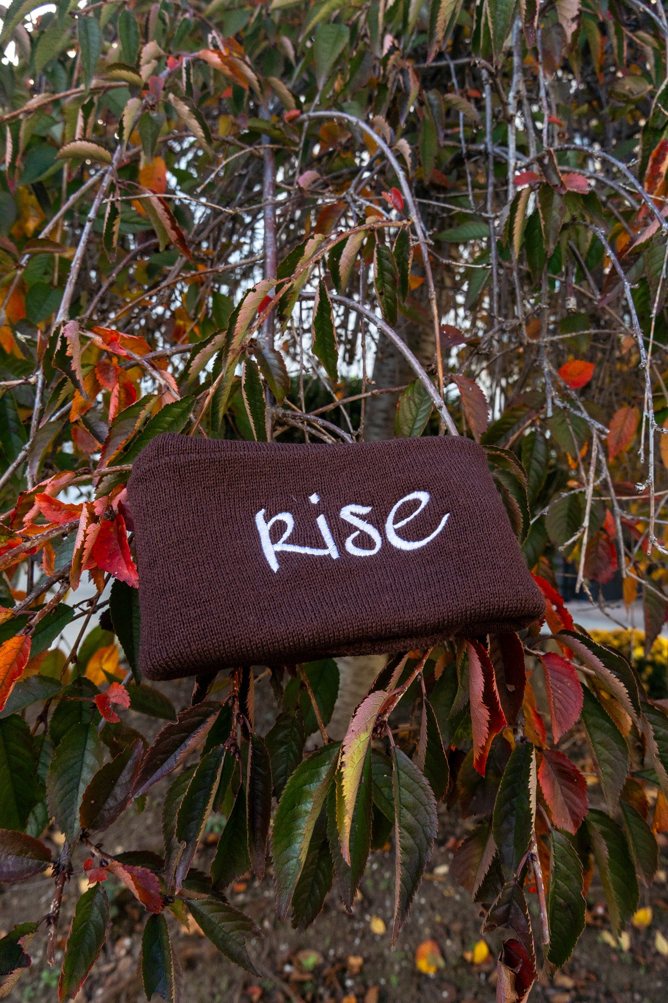 Cocoa Rise Beanie