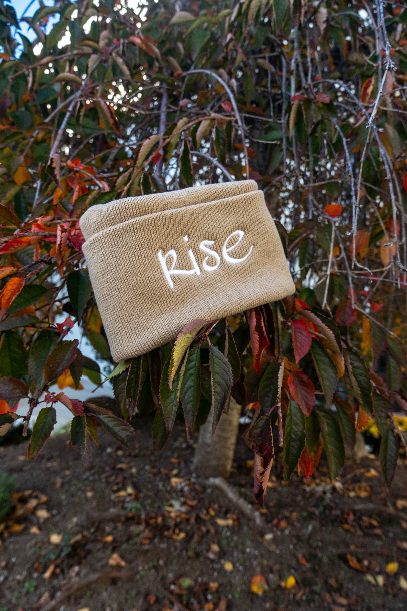 Beige Rise Beanie